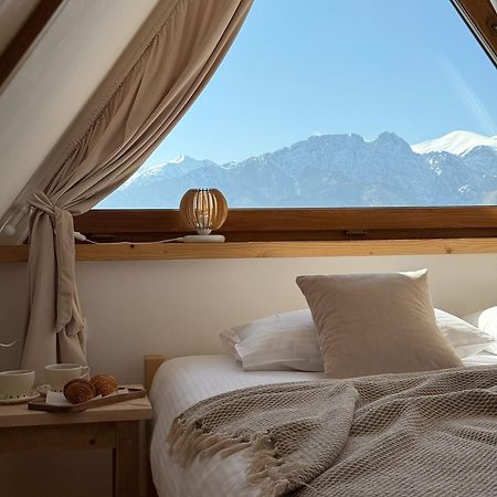Widok Apartamenty Zakopane Eksteriør bilde